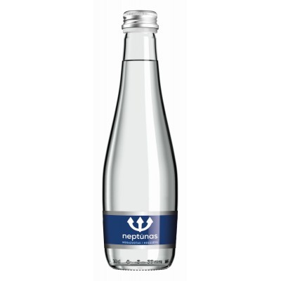 Mineralinis vanduo negazuotas NEPTŪNAS (stiklas), 330 ml 